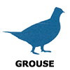 Grouse