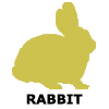 Rabbit