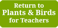 Return to Migration for Teachers