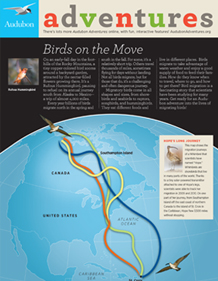 Kid's newspaper download