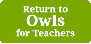 Return to Wild about Birds for Teachers