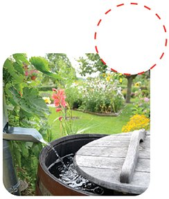 Use a Rain Barrel
